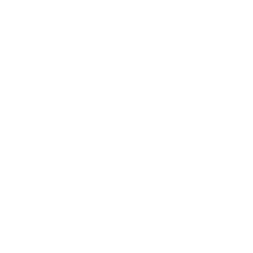 White Target Icon